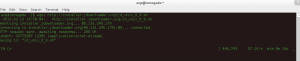 Download JDownloader installation script using wget