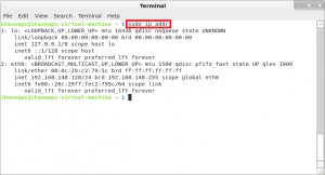 Generating A Report Of Network Interfaces From Linux Terminal