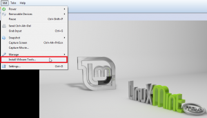 How To Install VMware Tools In Linux Mint 13 