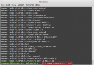 How To Install VMware Tools In Linux Mint 13