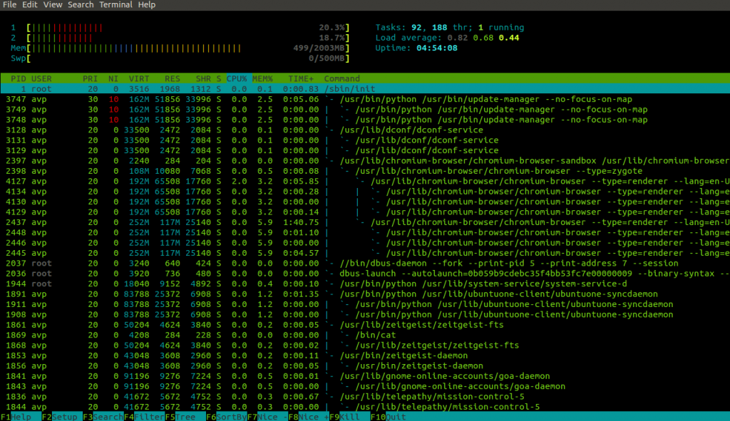 Process list using htop in Linux Mint / Ubuntu