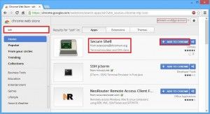 Secure Shell: A Cool ssh Plugin For Chrome Browser