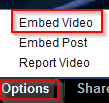 embed video option from options link