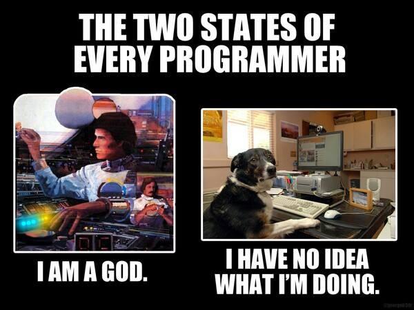 how programmers feel : lol