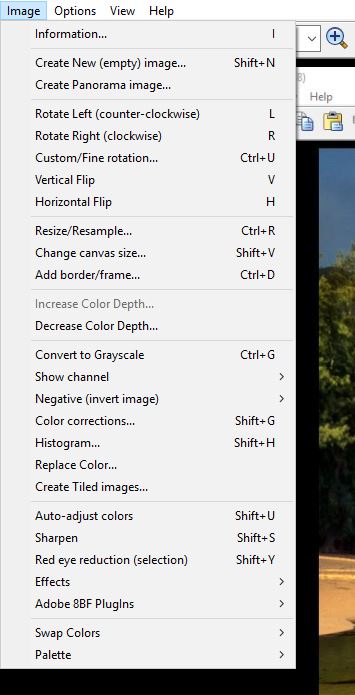 advanced image editing options in IrfanView