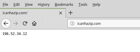 icanhazip displaying public IP in browser