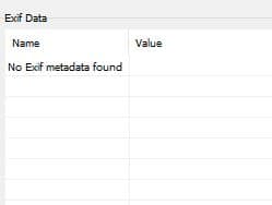 no exif data found after purging