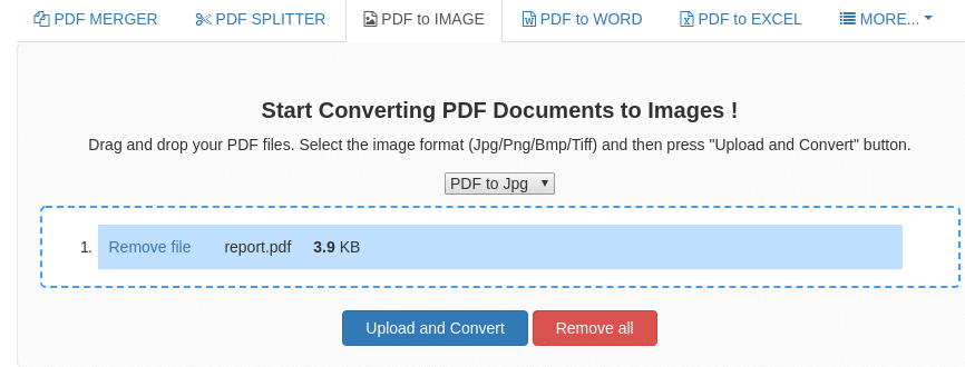 selecting pdf file to upload for converting to images