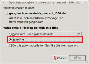 Google Chrome - Downloading and saving the package file