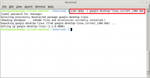 Installing the Google Desktop for Linux in Linux Mint / Ubuntu