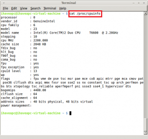 cat /proc/cpuinfo