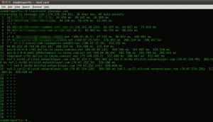 Traceroute in Linux Mint / Ubuntu Terminal