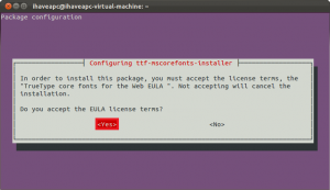 Installing ubuntu-restricted-extras in Ubuntu 11.10 Oneiric Ocelot_005