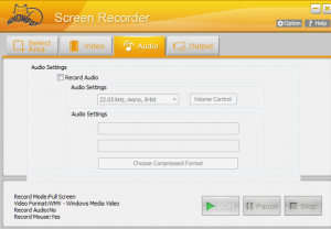 SnowFox Screen Recorder audio settings