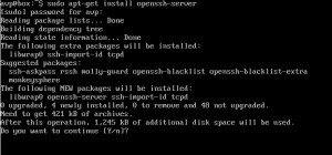 Installing open-ssh server