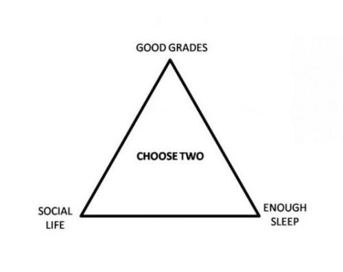 The geek student dilemma