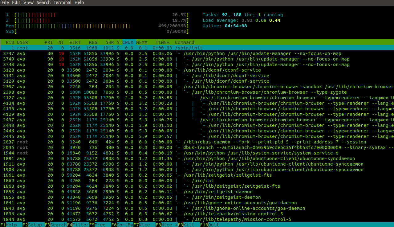 Process list using htop in Linux Mint / Ubuntu