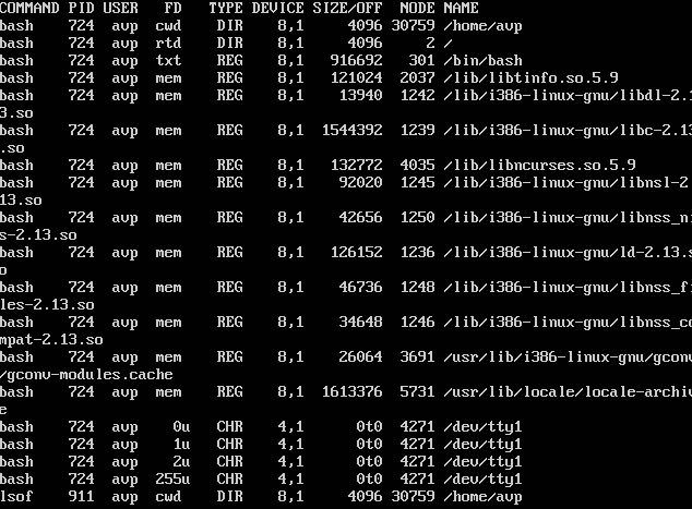 Output of lsof for given user