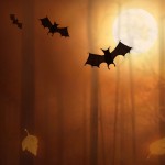 Stunning HD Wallpapers For Your Desktop #56: Happy Halloween Edition!