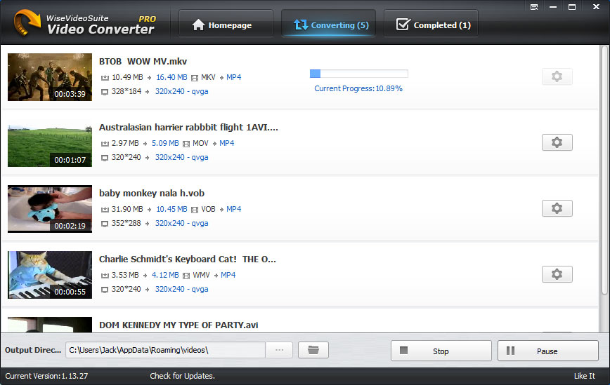 conversion in progress using Wise Video Converter Pro 