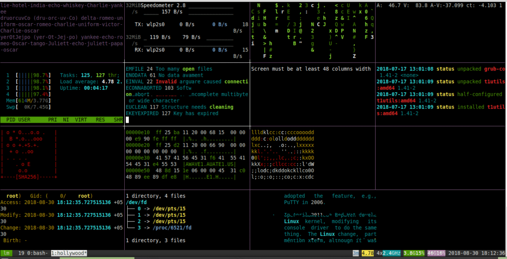 hollywood script output in Linux Mint