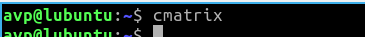 running cmatrix from Linux Terminal to display falling code from movie The Matrix