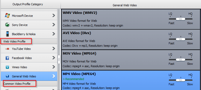 web video profiles in WinX HD Video Converter Deluxe