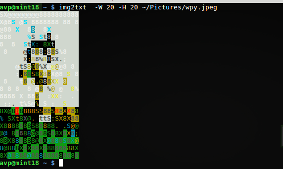 specifying custom width and height for source image to be converted to ASCII art using img2txt