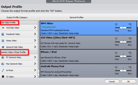 choosing output profile for web videos and common formats in WinX DVD Ripper Platinum