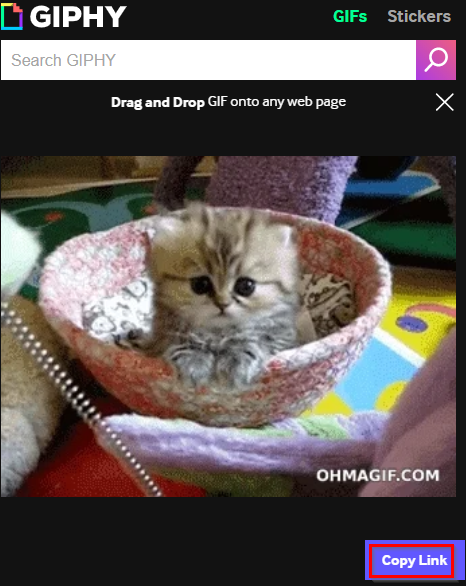 selecting gifs from GIPHY for Chrome add-on