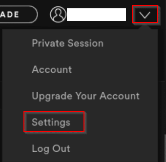 accessing Spotify account settings in Linux Mint app