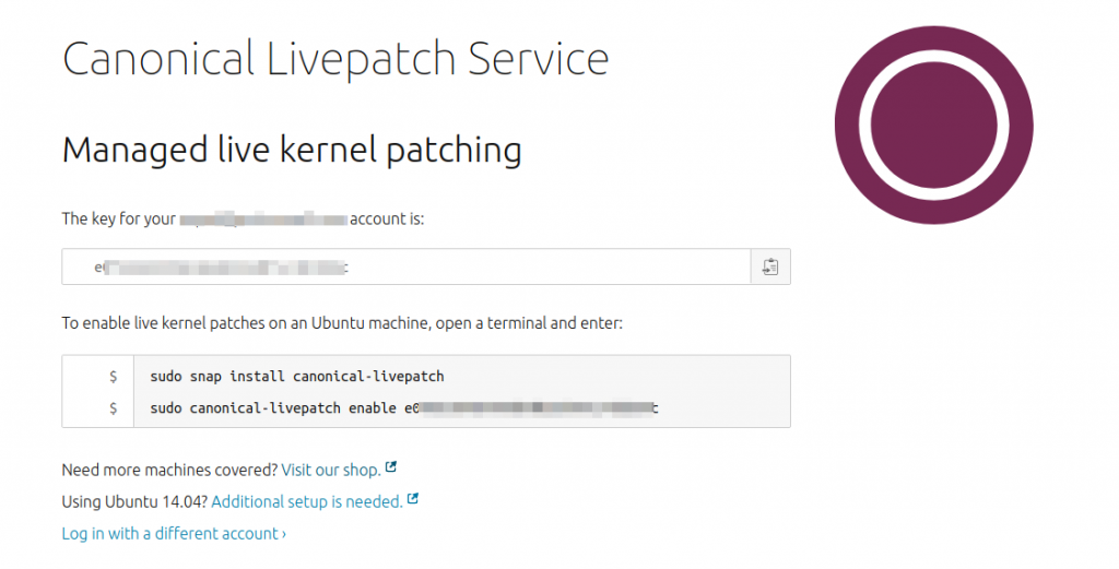 Canonical Livepatch Service commands