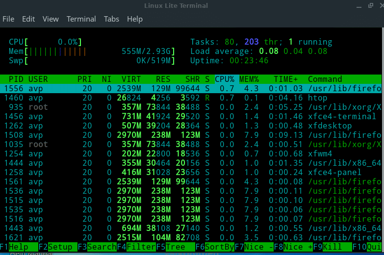 htop comes installed in Linux Lite