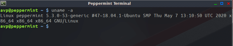 Terminal in Peppermint