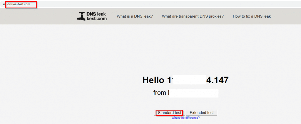 choosing standard dns test from dnsleaktest.com