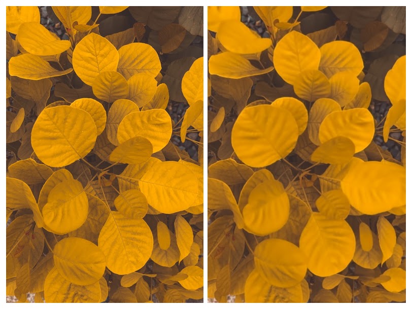 original image vs denoised image processed using AI Image Denoiser 