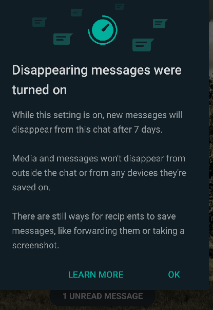 recipients will be notified about disappearing messages too