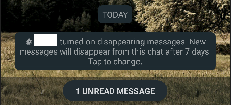 recipients can also turn off disappearing messages 