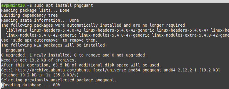 installing pngquant in linux mint