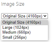 changing the image size for embedded photo 