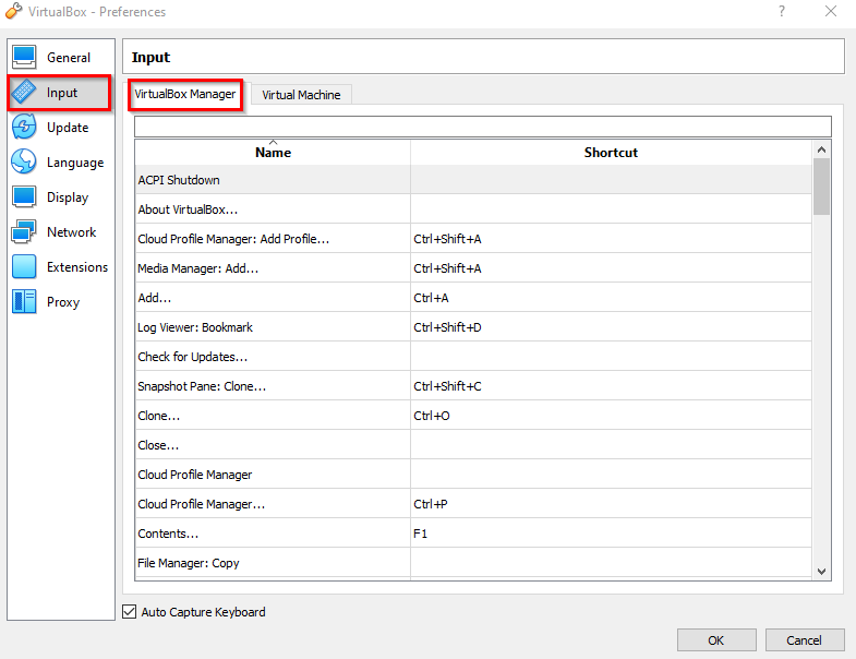 input settings for VirtualBox for Windows