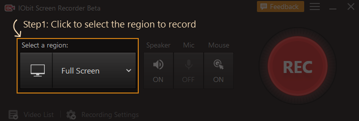 choosing a region to record using IObit Screen Recorder