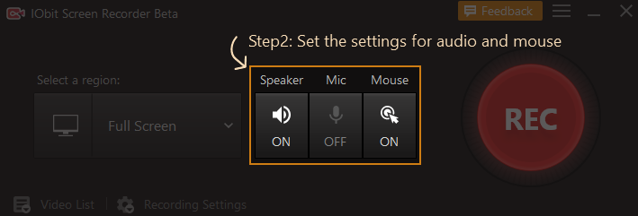 settings for audio and mouse in IObit Screen Recorder