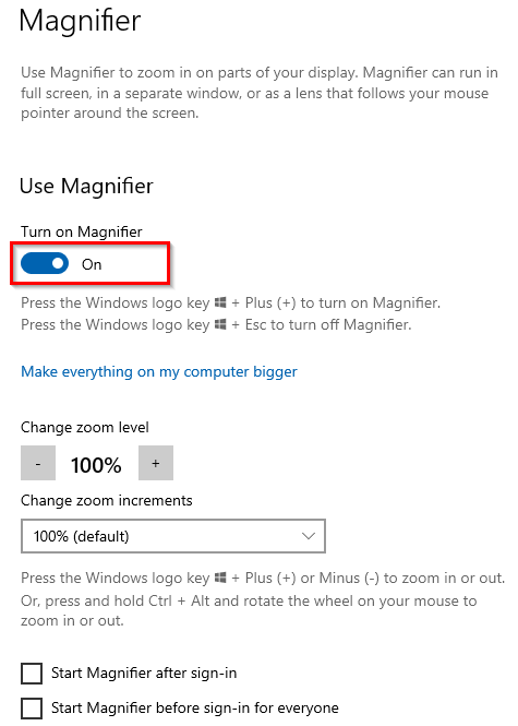 Magnifier options