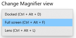 different views for Magnifier