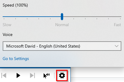 changing the Magnifier voice settings