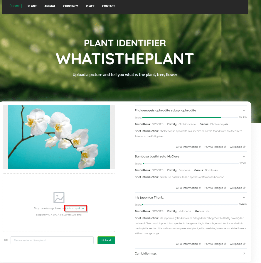 Whatistheplant homepage