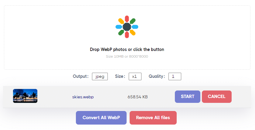 WebP image ready for conversion