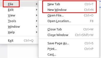 No private window option in guest session