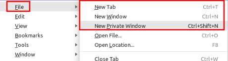 Private window option in non guest sessions in Vivaldi browser